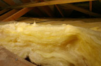 Pett pitch roof insulation